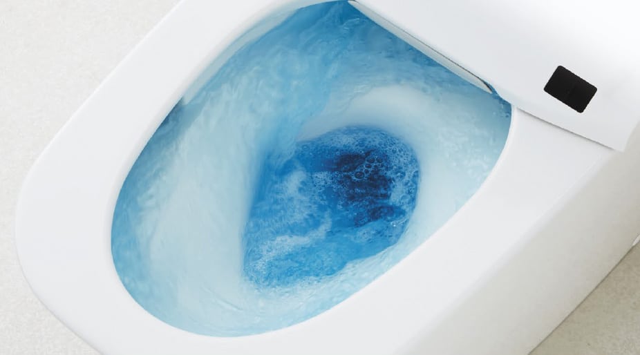 how to flush a toilet without water