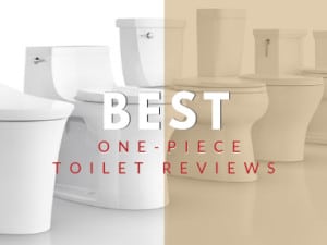 Best One-Piece Toilet