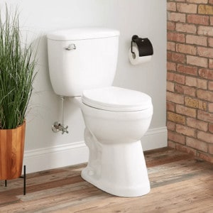 bathroom with a plant and a brick wall
